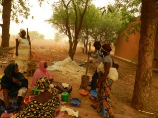Forest tree seed extraction in Sadore, Niger - Brad Hounkpati